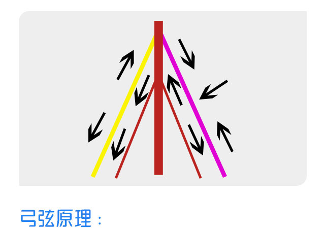 微针疼痛理疗培训